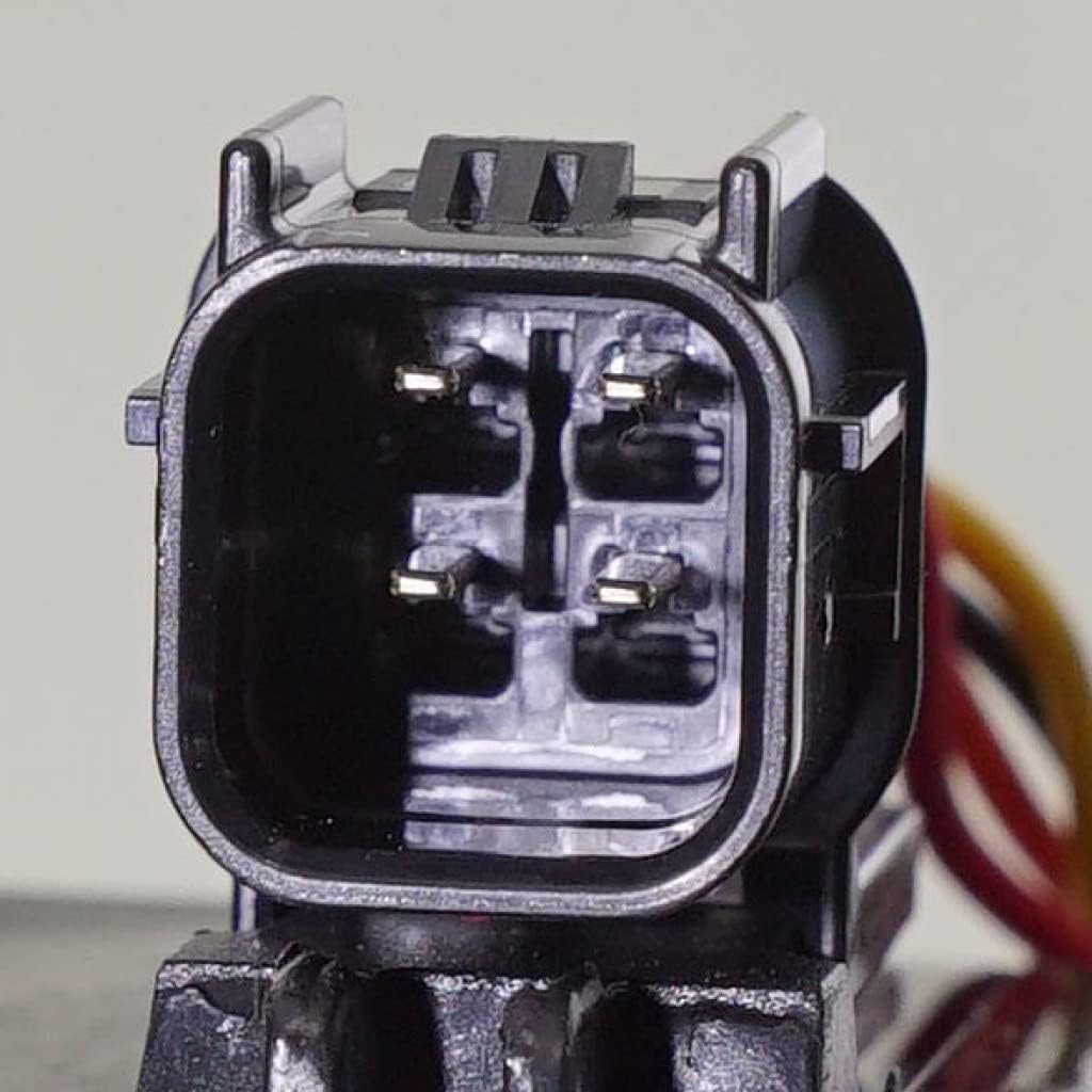 Tail Light Assembly Driver Side with Bulb M1933
