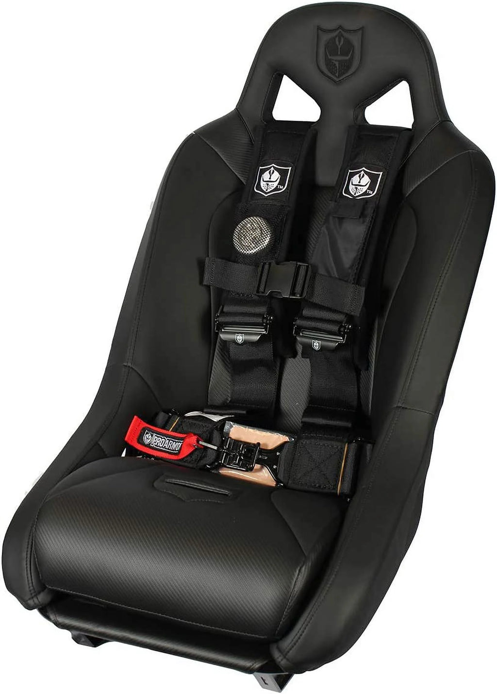 Black 4 Point Harness Seat Belt Set, 2 Pack C757