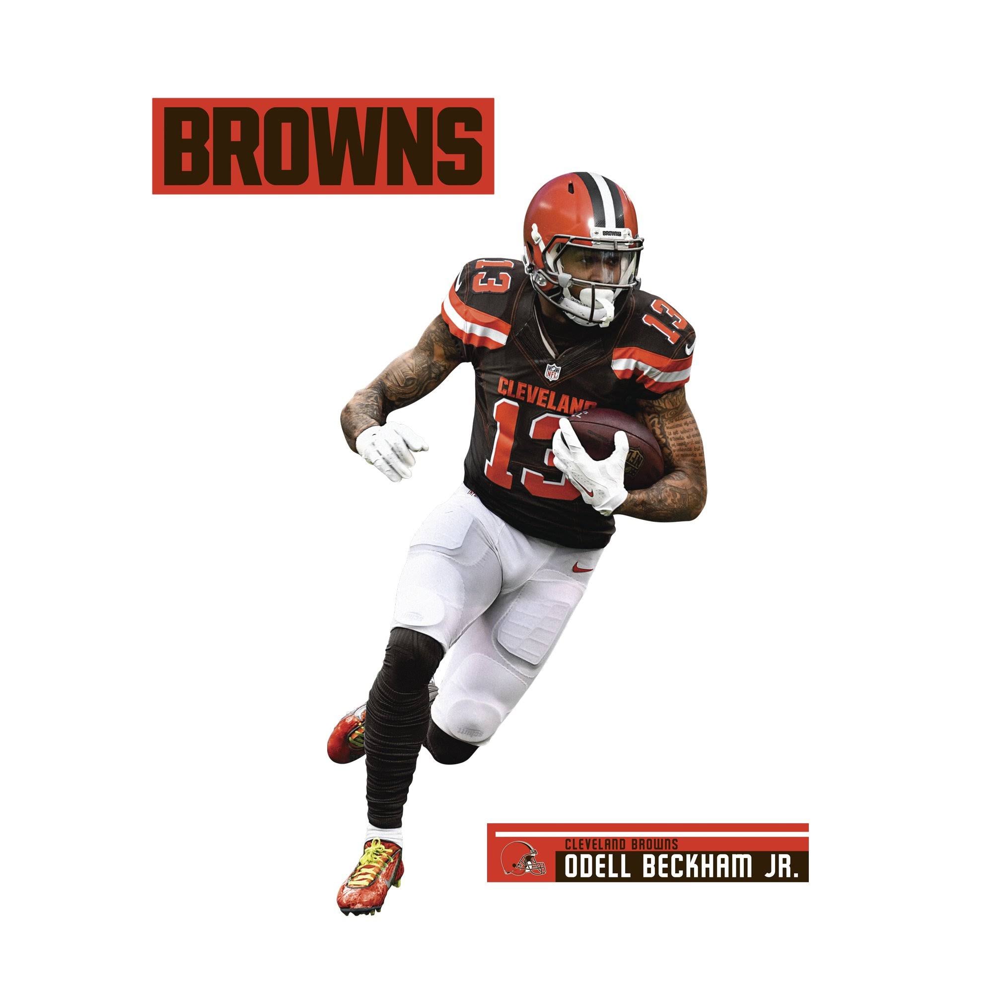Officially Licensed NFL Removable Wall Decal J467