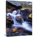 Autumn Leaves in Little River Art Print E46763