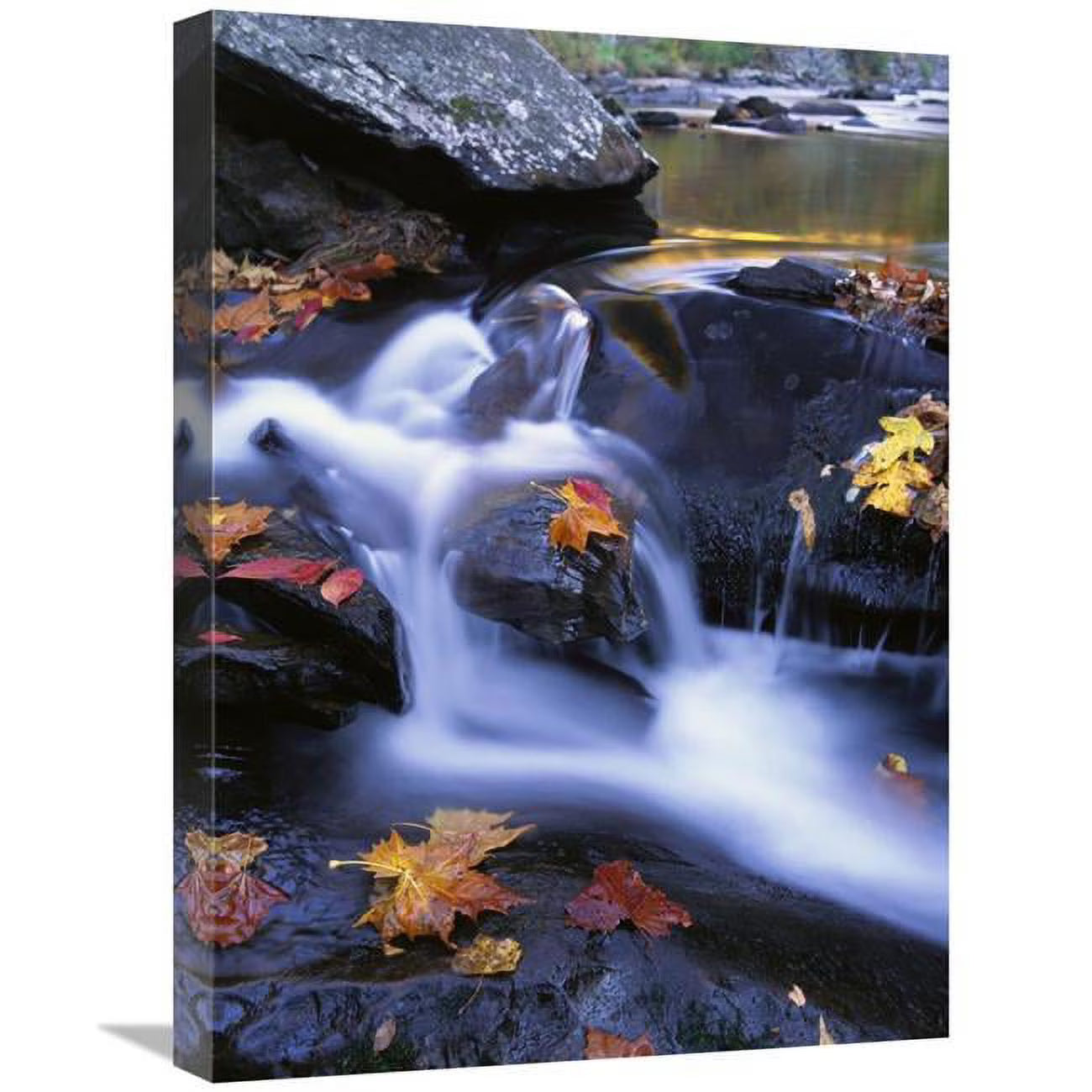 Autumn Leaves in Little River Art Print E46763