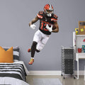 Officially Licensed NFL Removable Wall Decal J467
