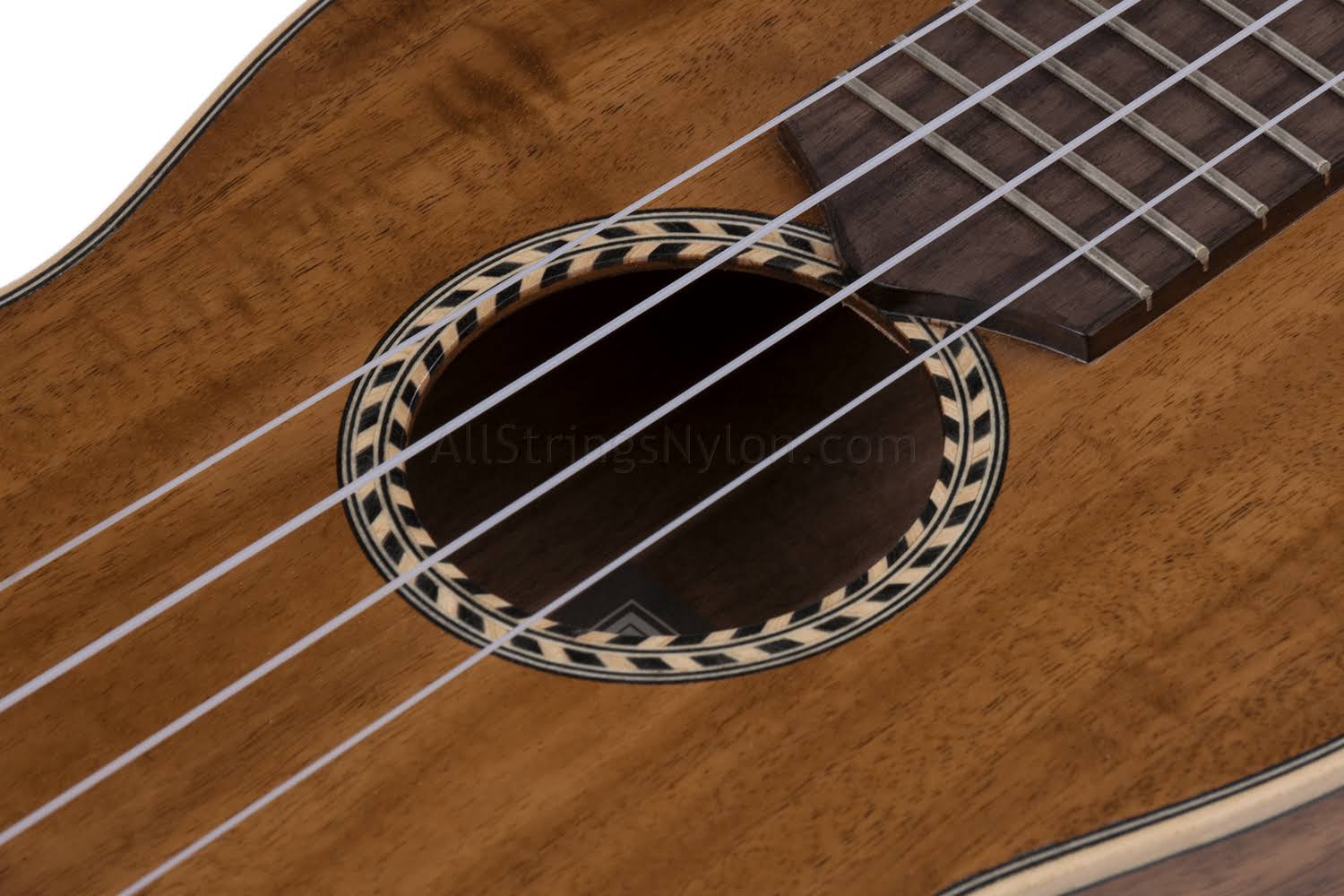 Concert Ukulele V823193