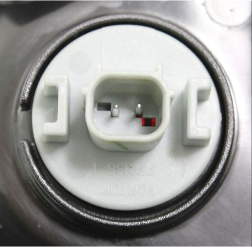 Tail Light Assembly Driver Side with Bulb M1933