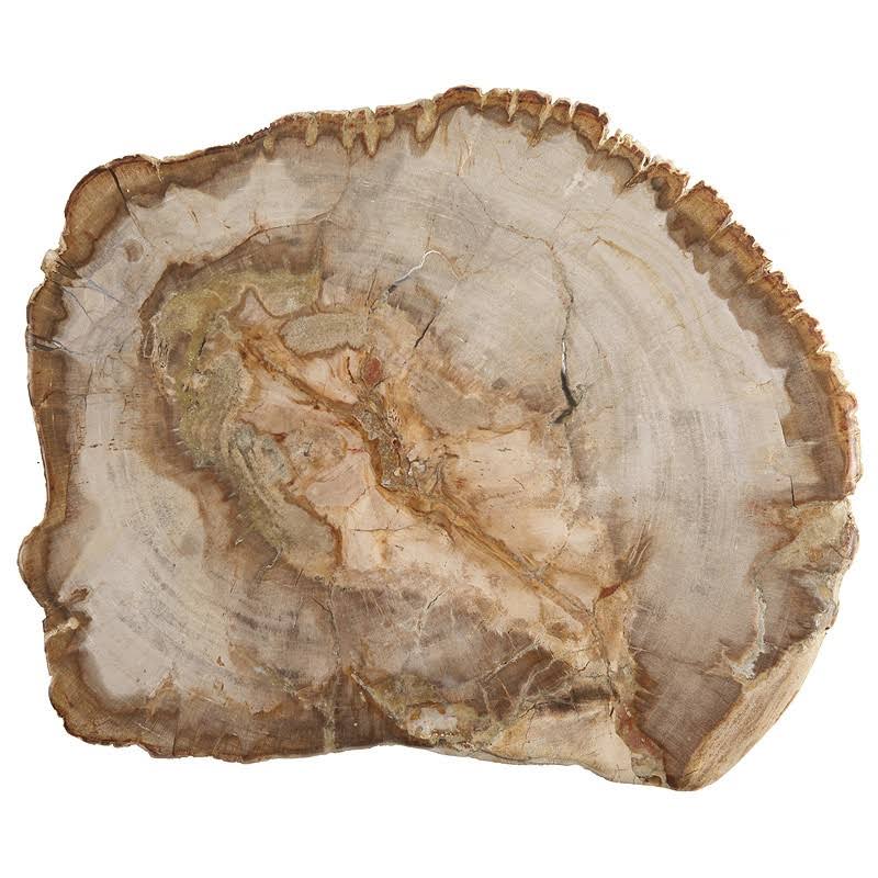 Petrified Wood Platter D6731