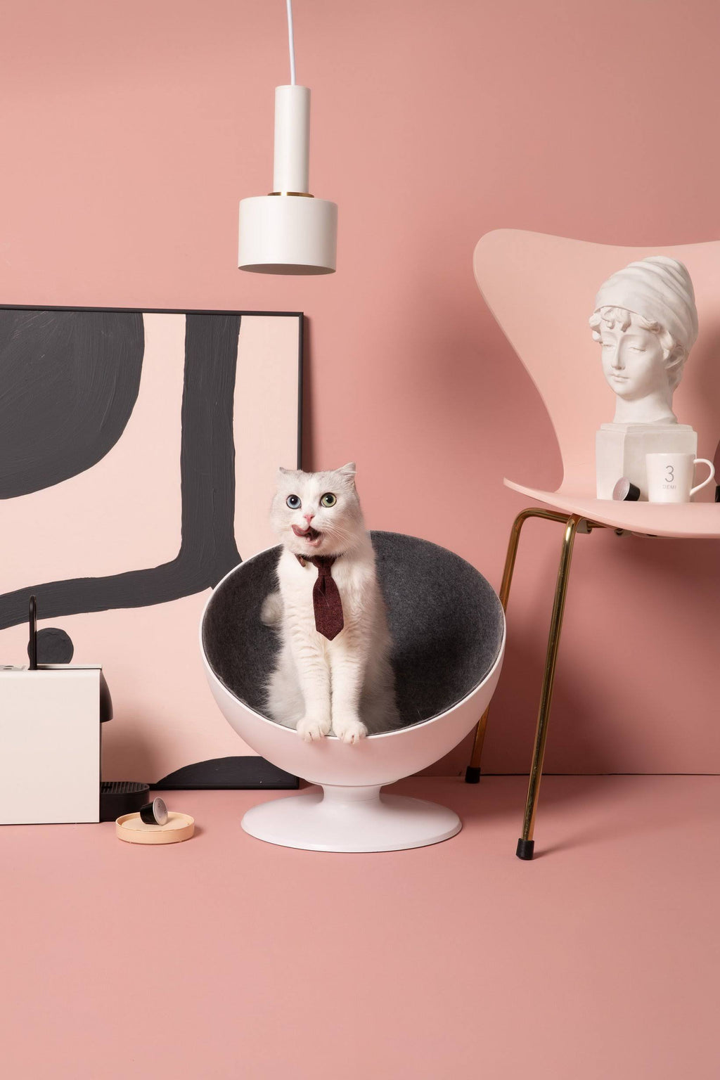 Elevated Cat Bed V2680