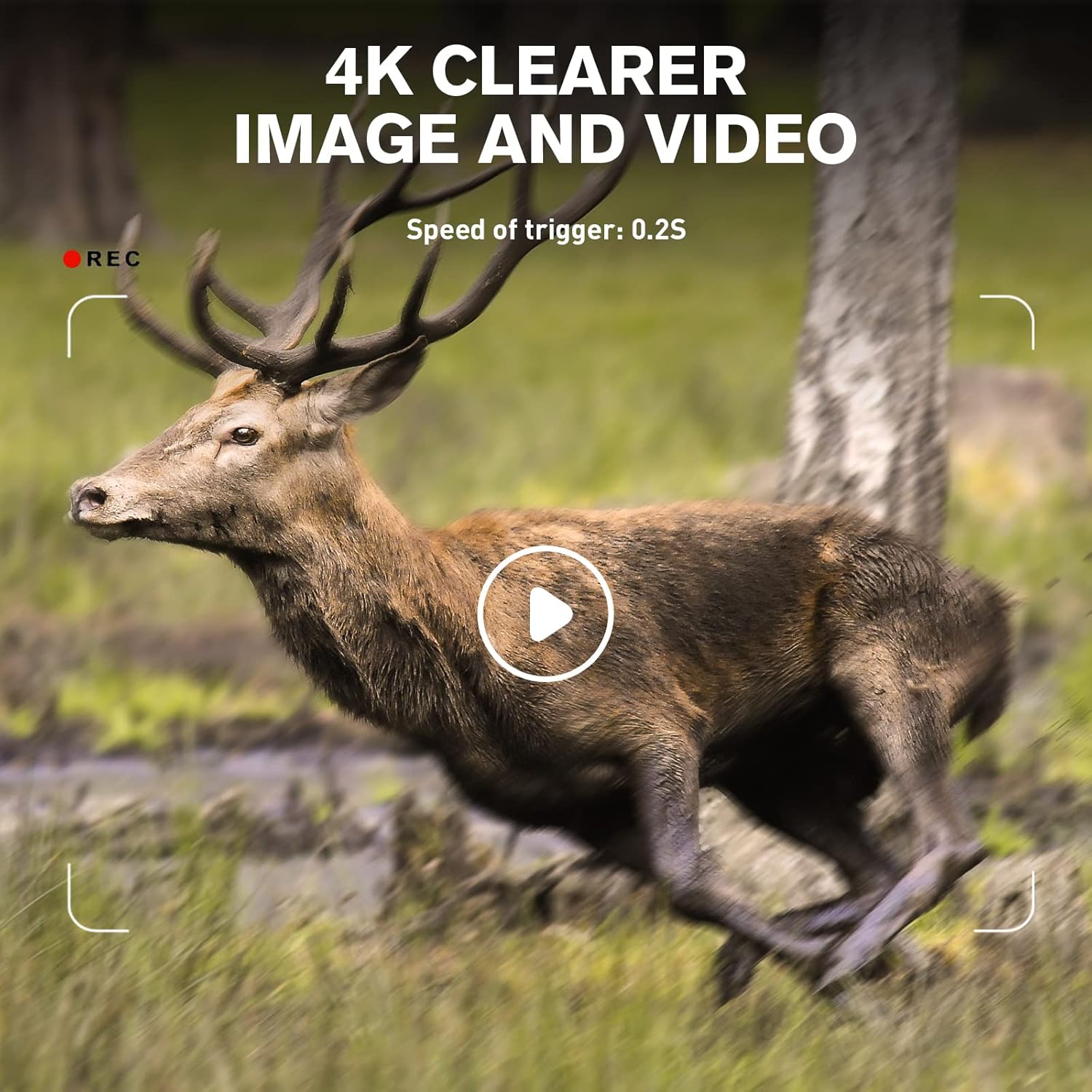 4K 30MP Night Vision Motion Activated Waterproof WiFi Bluetooth Trail Camera A403