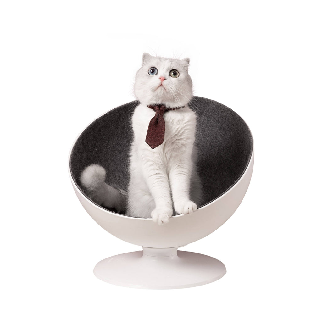 Elevated Cat Bed V2680