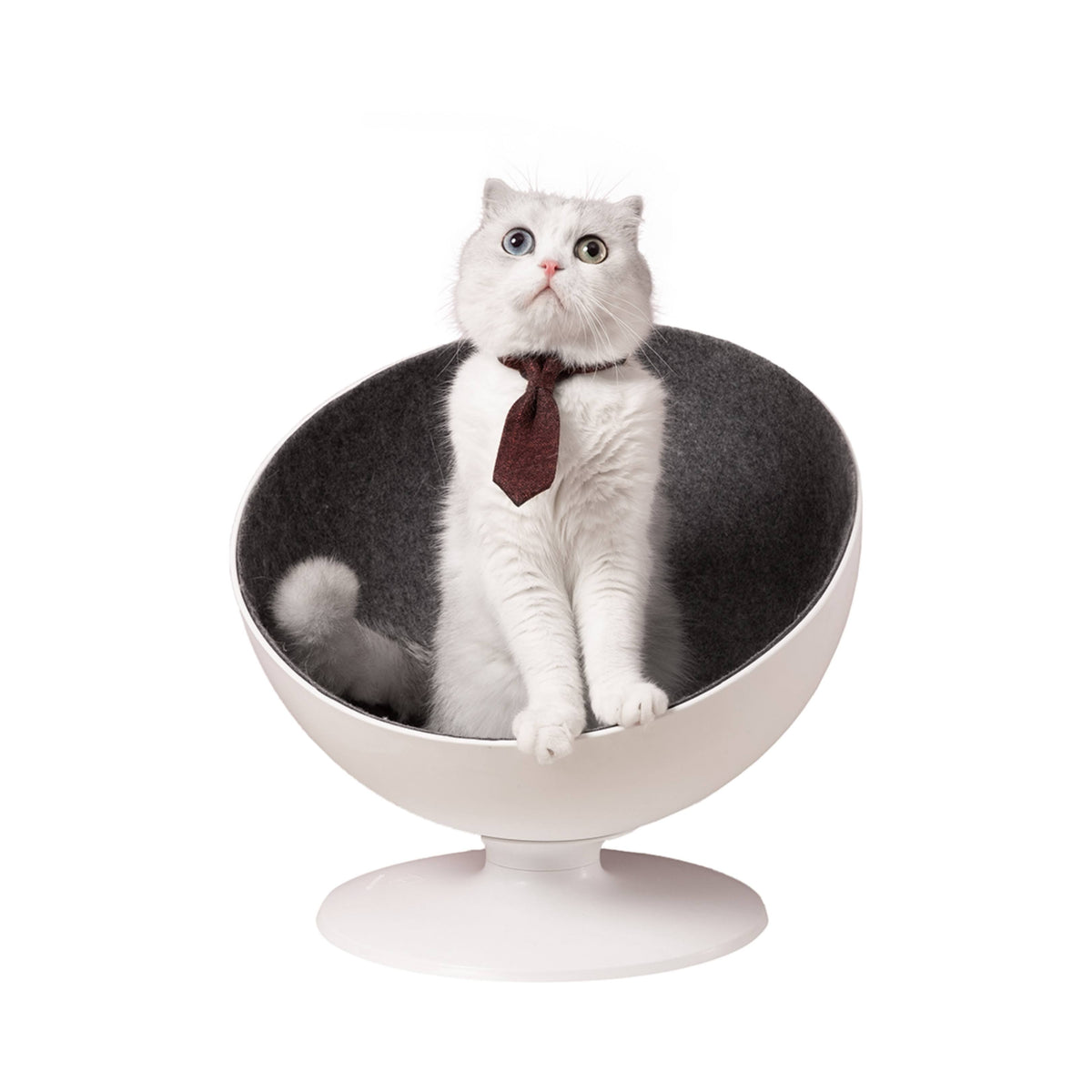 Elevated Cat Bed V2680