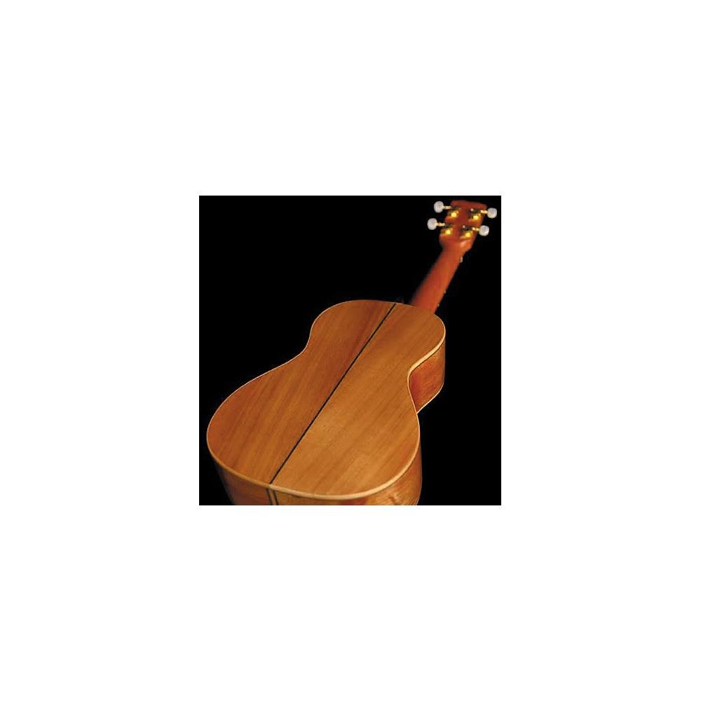 Concert Ukulele V823193