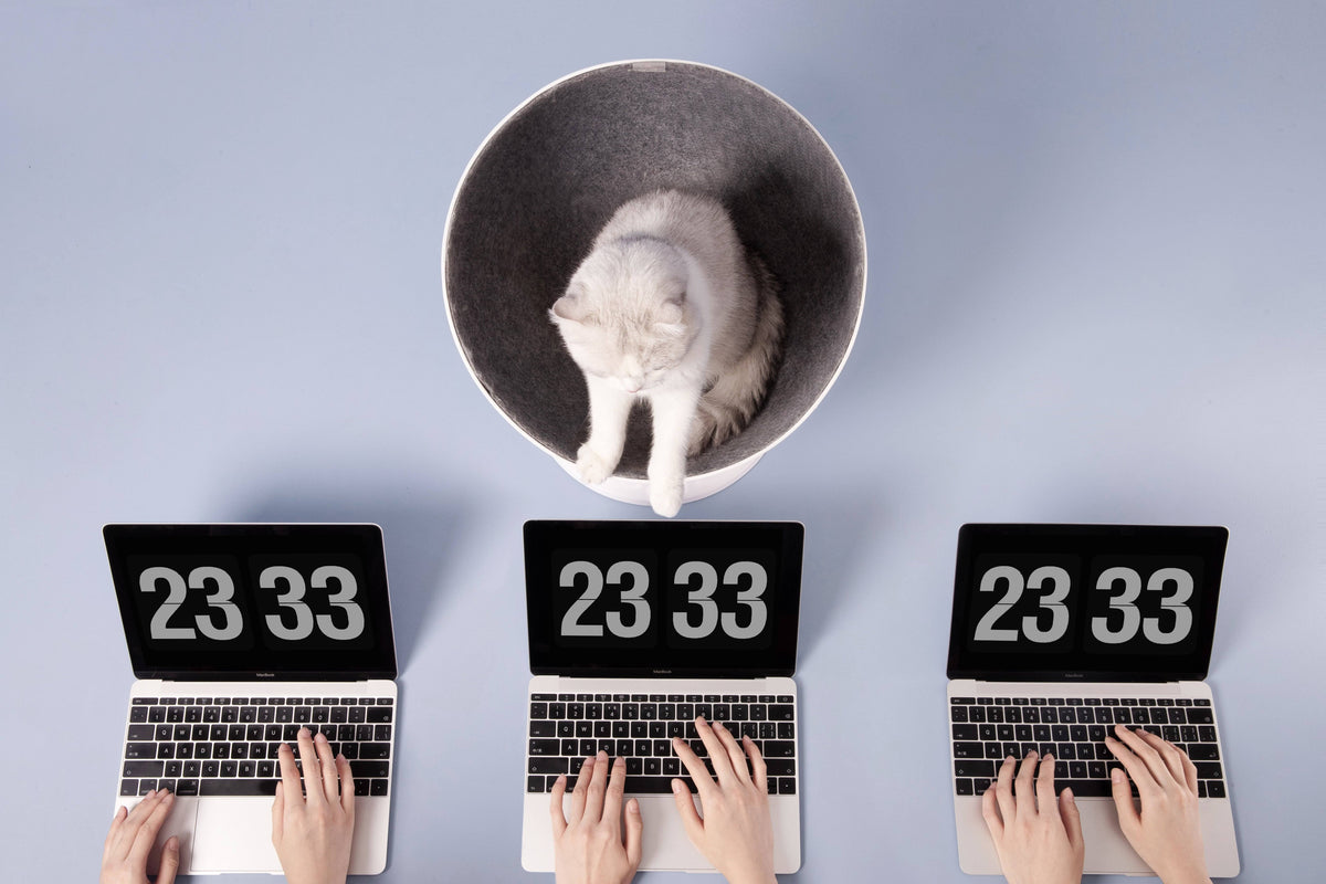 Elevated Cat Bed V2680
