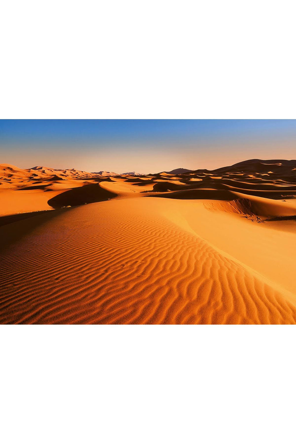 Desert Landscape Wall Mural R49412