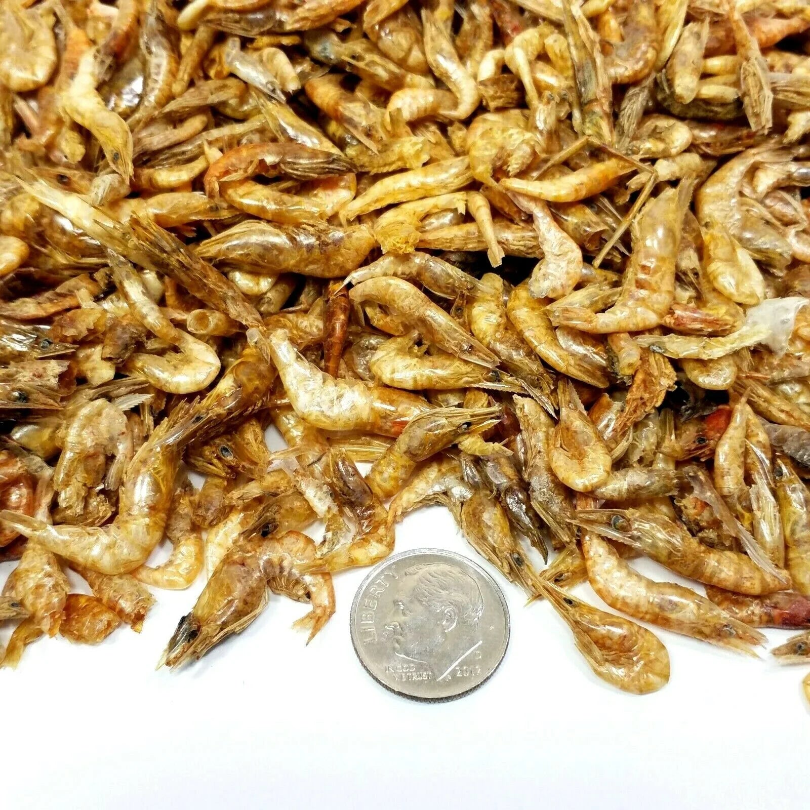 Freeze Dried Red River Shrimp, 1-lb Lg Jar Q849901