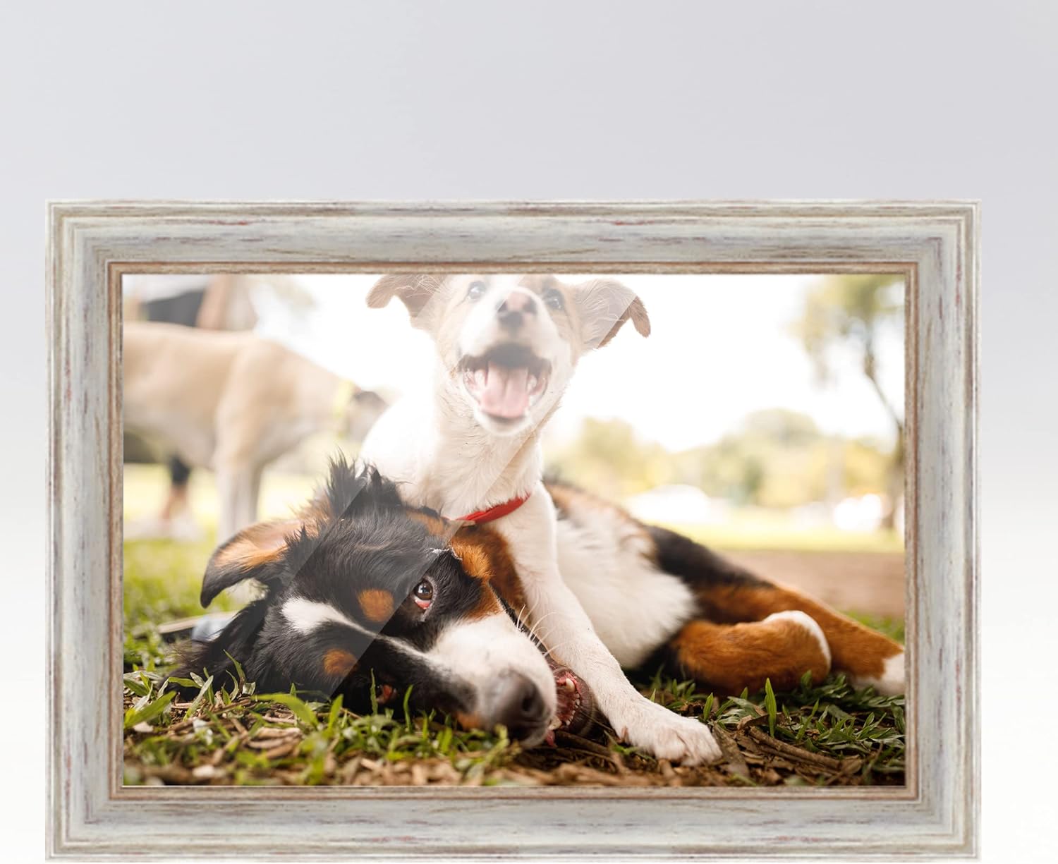 White Real Wood Picture Frame S80224