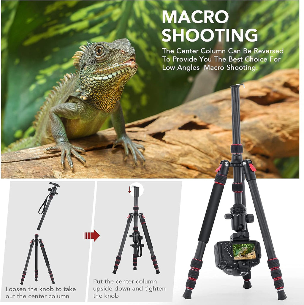 Carbon Fiber Camera Tripod Monopod 3 in 1 with 360 Degree Ballhead Quick Release Plate, Load Up to 26.5lb B1785