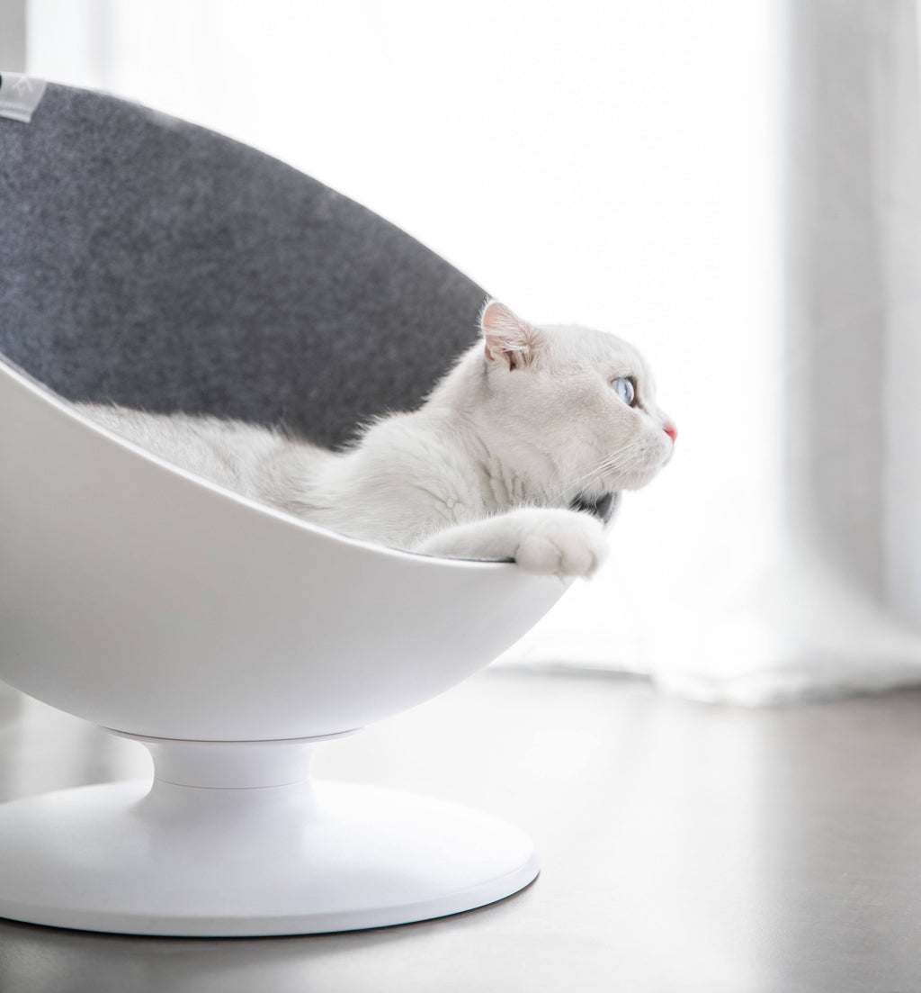 Elevated Cat Bed V2680