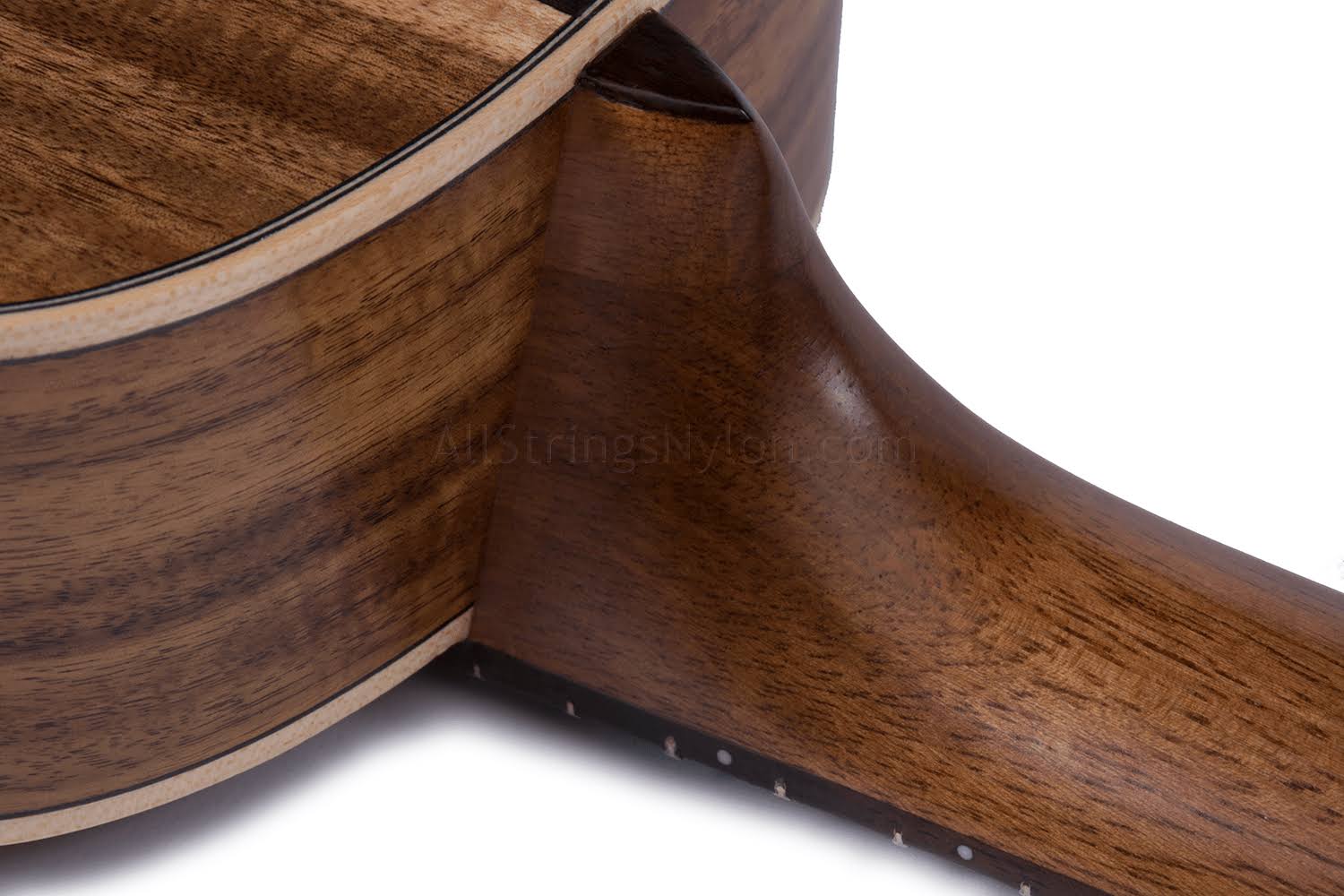 Concert Ukulele V823193
