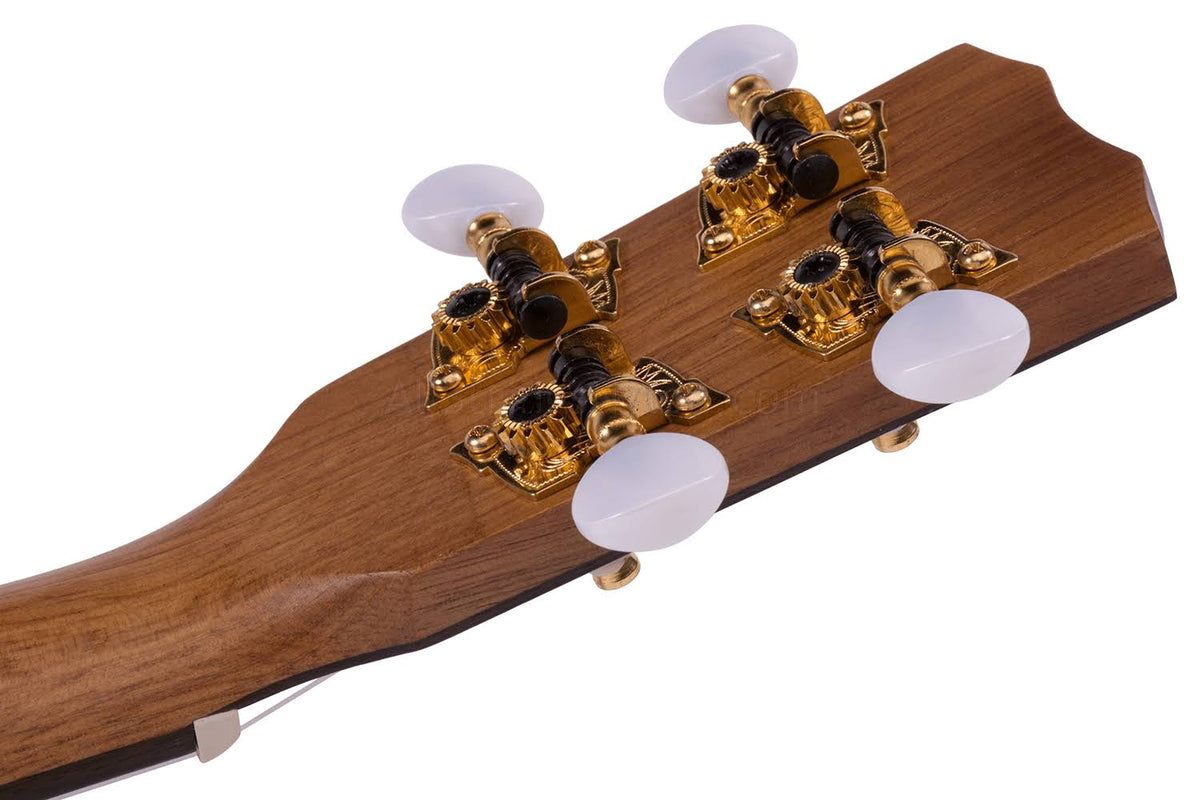 Concert Ukulele V823193