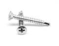 Self Drilling Screw Phillips Oval Head Low Carbon Steel Zinc Plated D2921