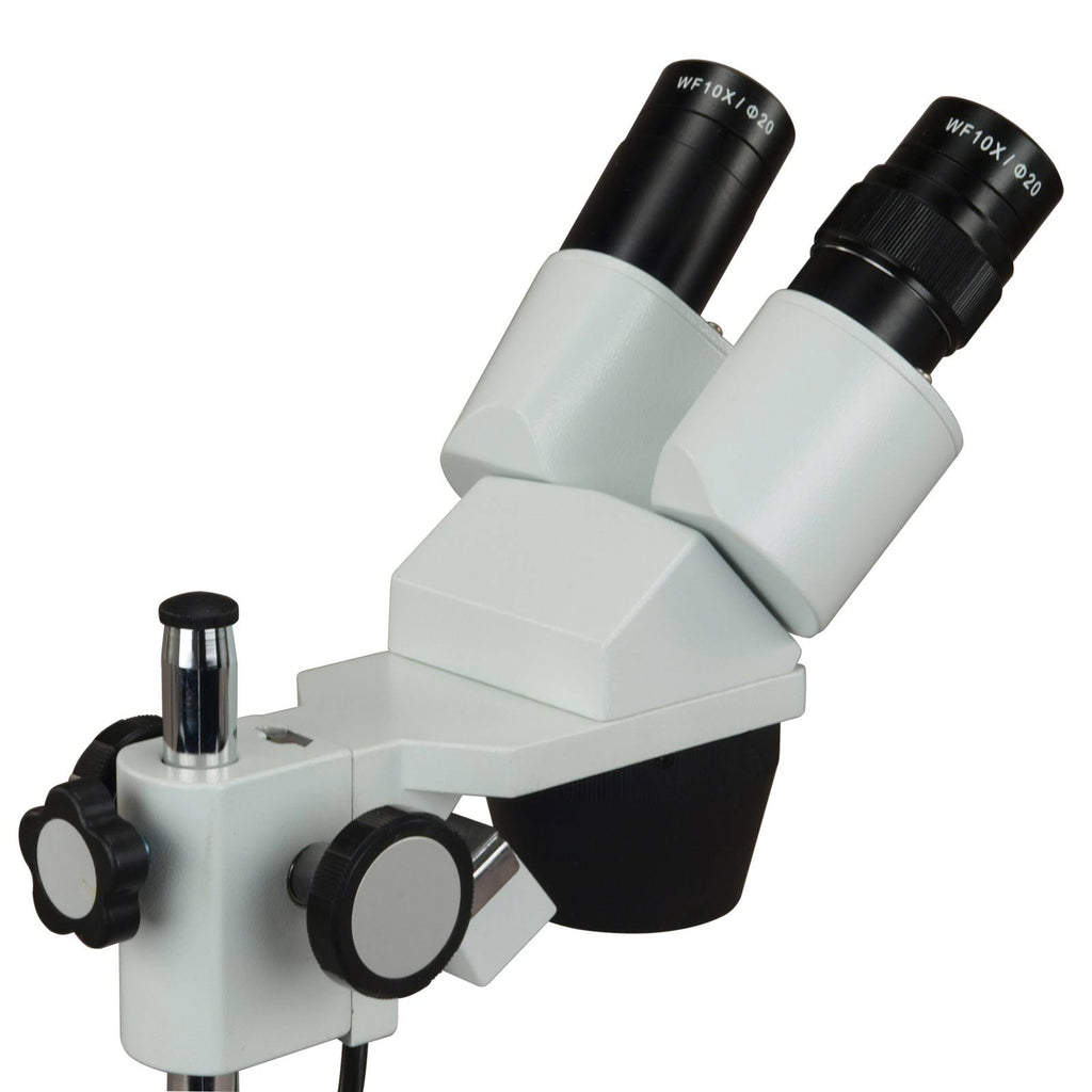 Binocular Stereo Microscope with Dual Lights and 3MP Camera W2860