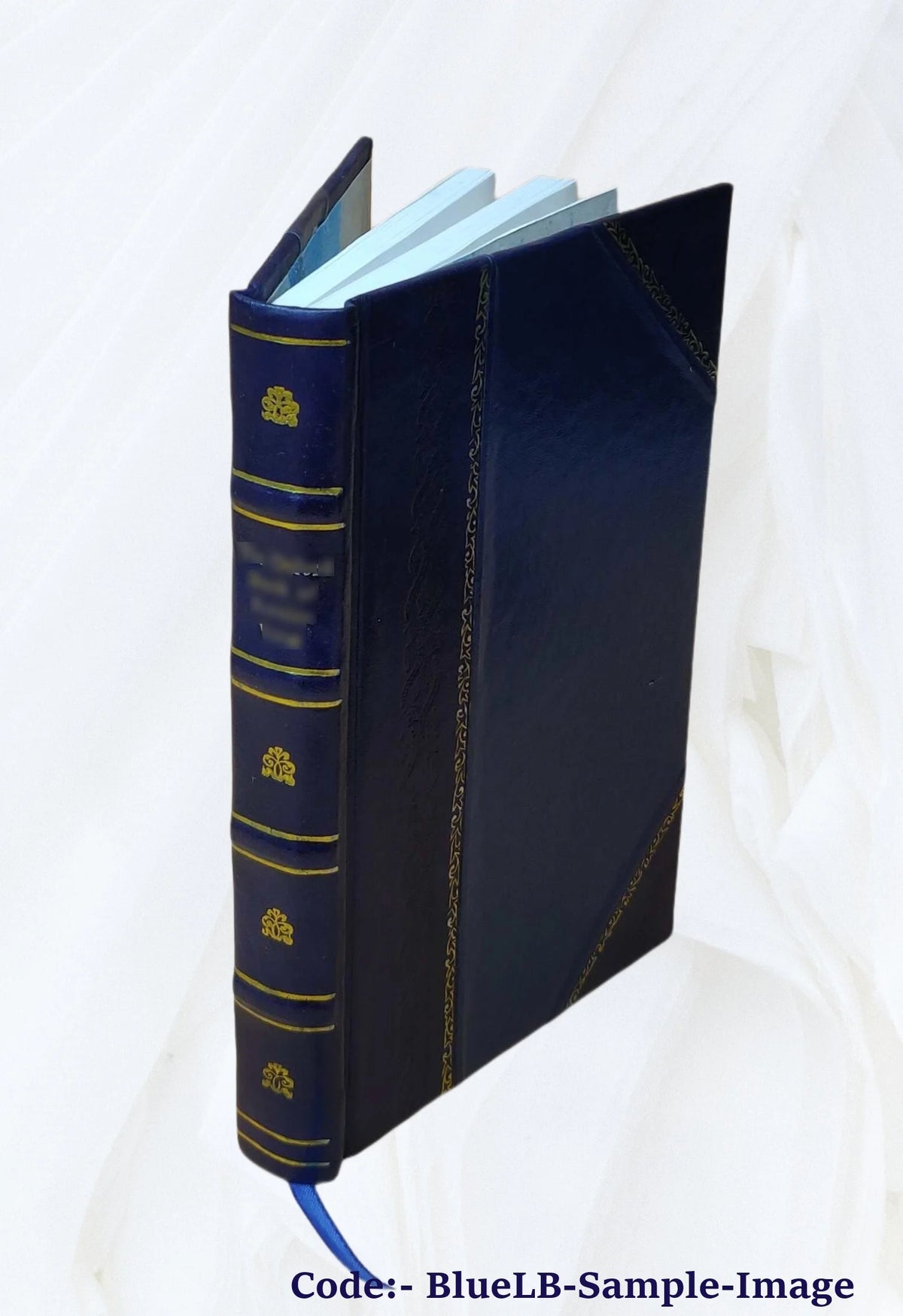 Leather Bound Book T987801