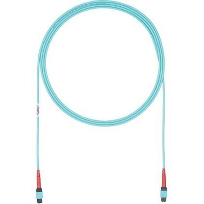 Fiber Optic Network Cable - 25 ft P611