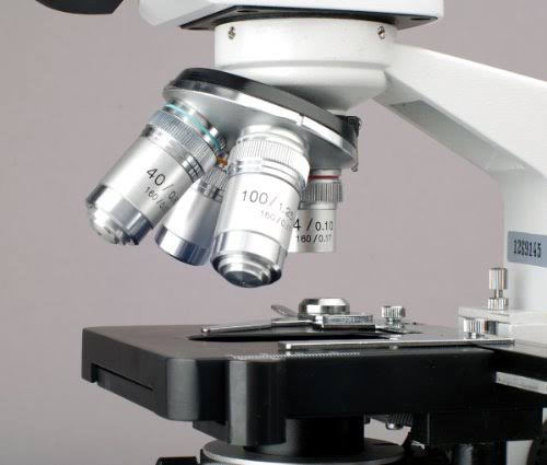 40X-2000X LED Binocular Compound Microscope with 14MP Camera V8125