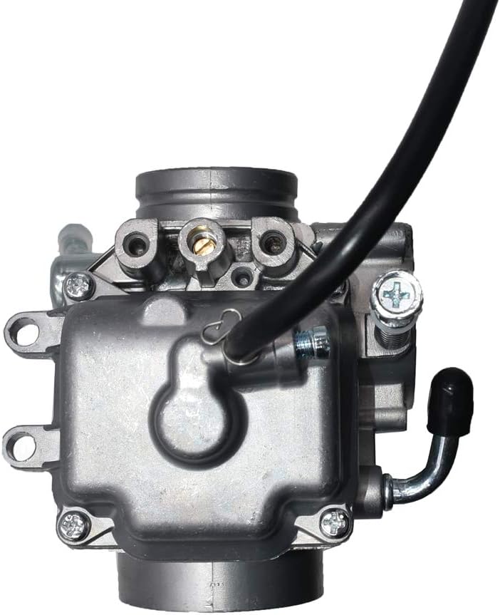 Carburetor Assembly Pack of 2 D476