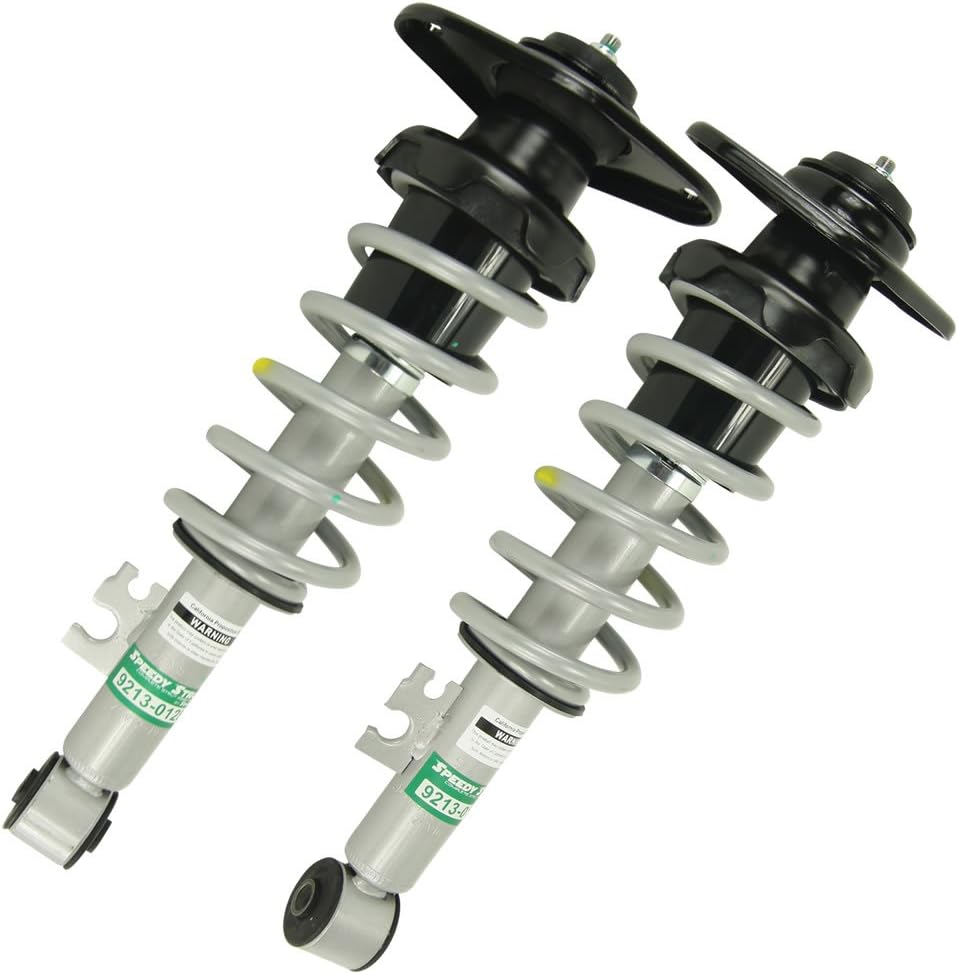 Rear Complete Strut Assembly O193370