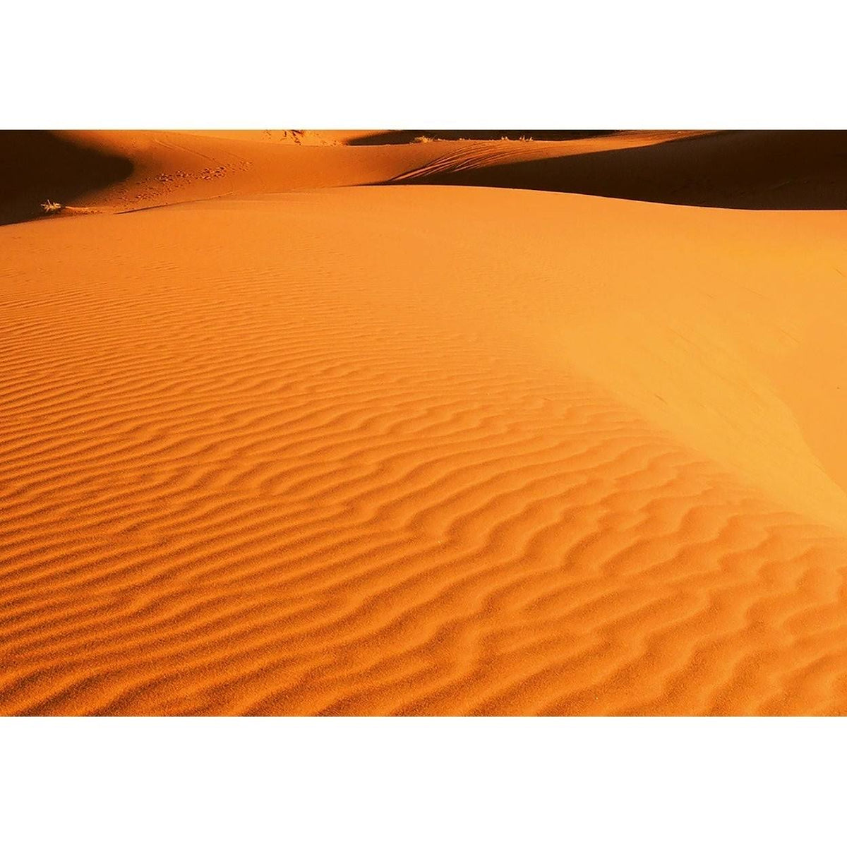 Desert Landscape Wall Mural R49412