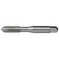 Straight Flute Tap, Plug, 6 Flutes X999