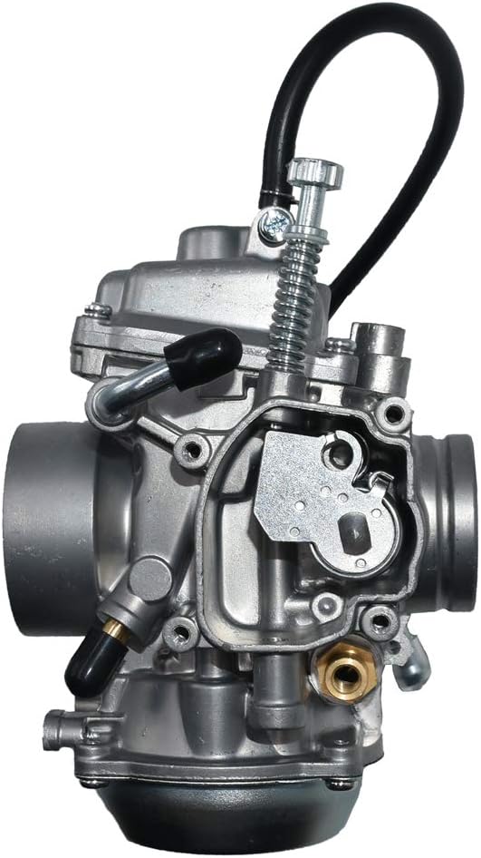 Carburetor Assembly Pack of 2 D476