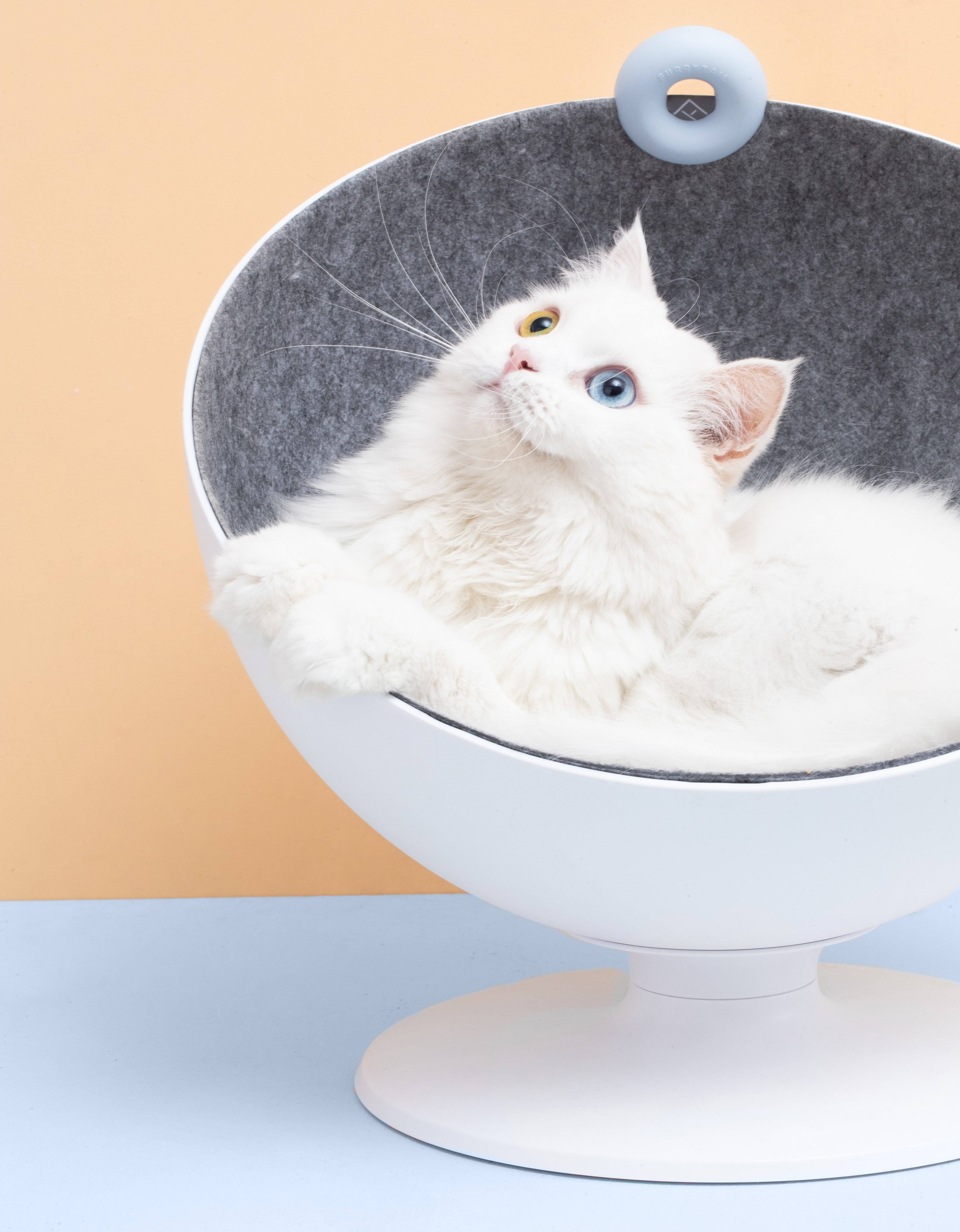 Elevated Cat Bed V2680