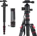 Carbon Fiber Camera Tripod Monopod 3 in 1 with 360 Degree Ballhead Quick Release Plate, Load Up to 26.5lb B1785