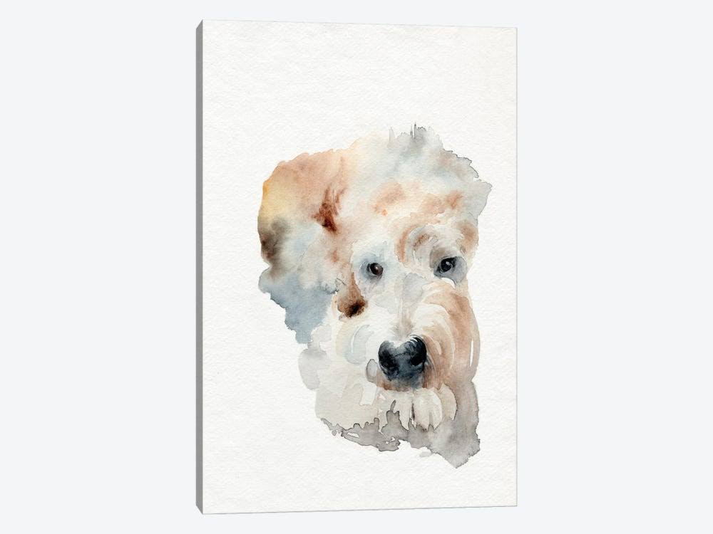 Scruffy Puppy I Print on Canvas Art A16775