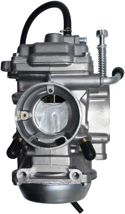 Carburetor Assembly Pack of 2 D476