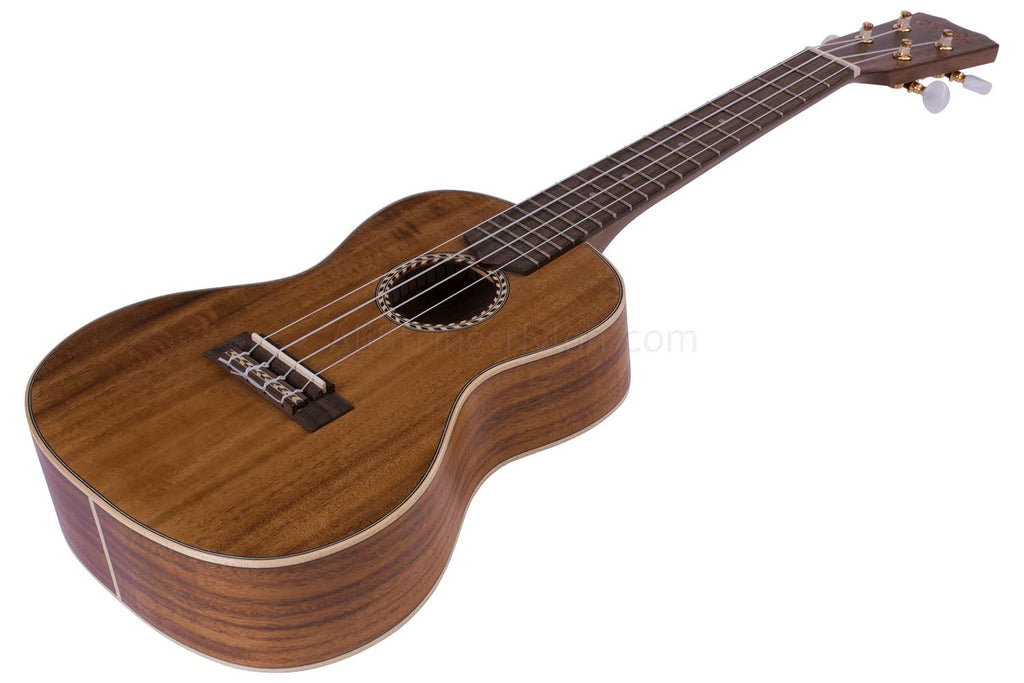 Concert Ukulele V823193