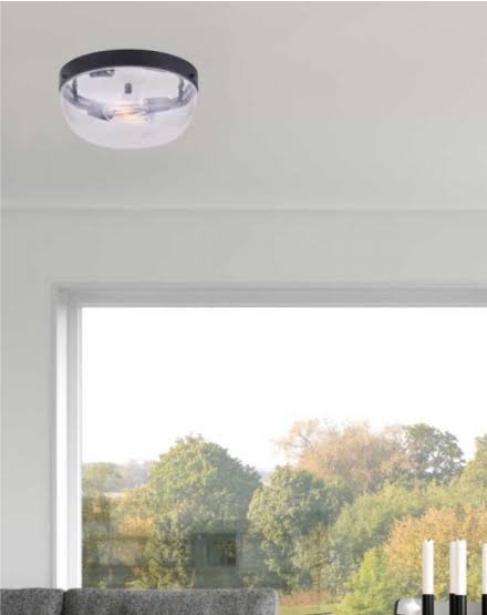 Matte Black 2 Bulb Flush Mount Ceiling Light E598