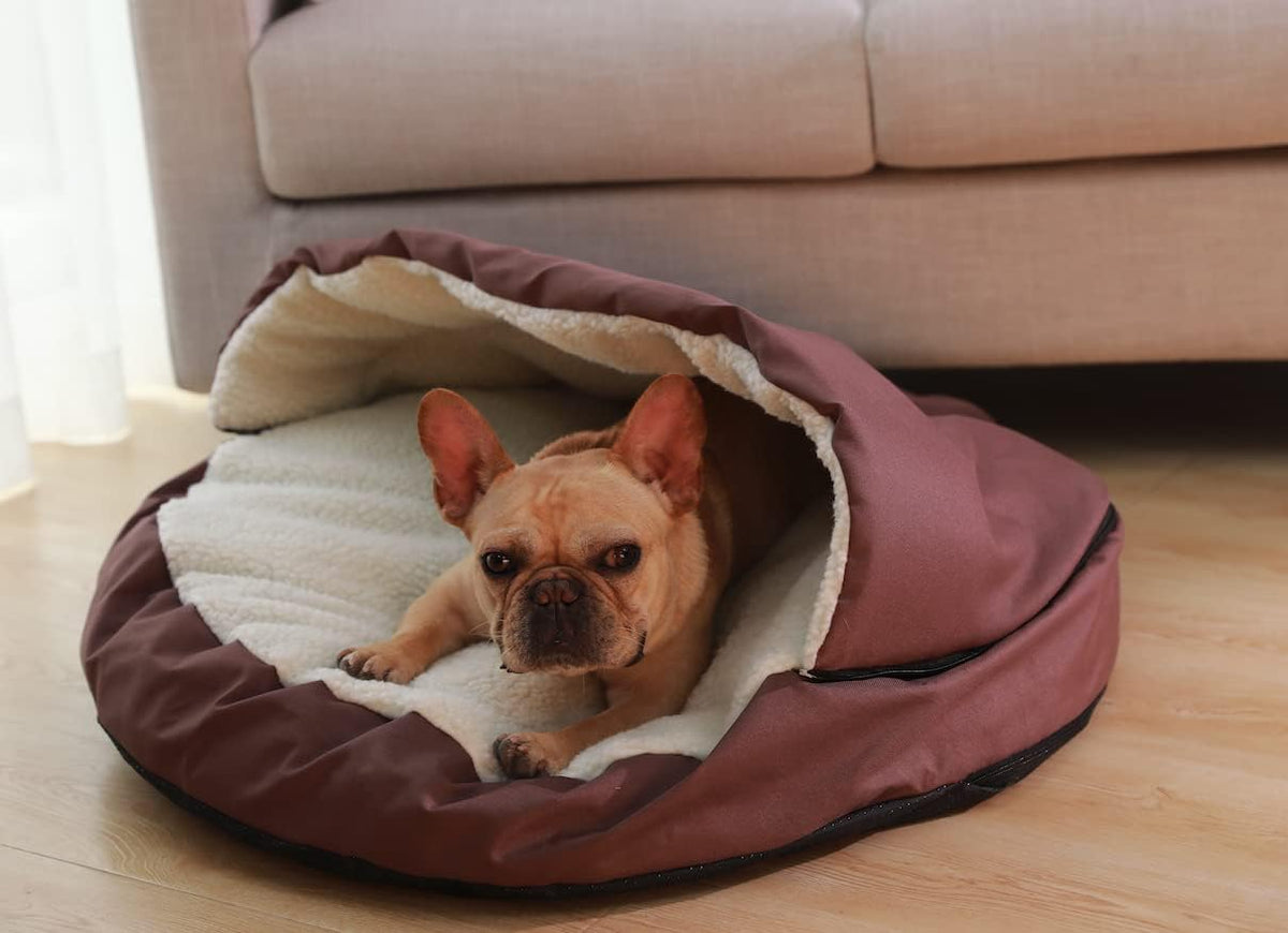 Coffee 25in Pack of 2 Shredded Memory Foam Pet Bed Cave H87785