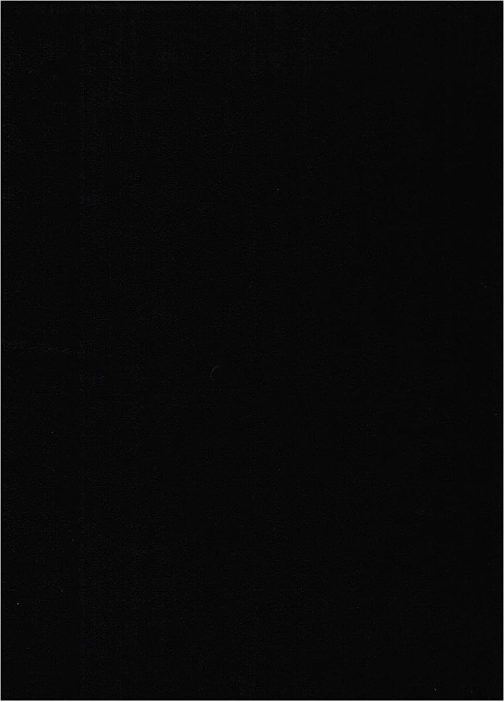 Black Suede Fabric Futon Mattress N598131