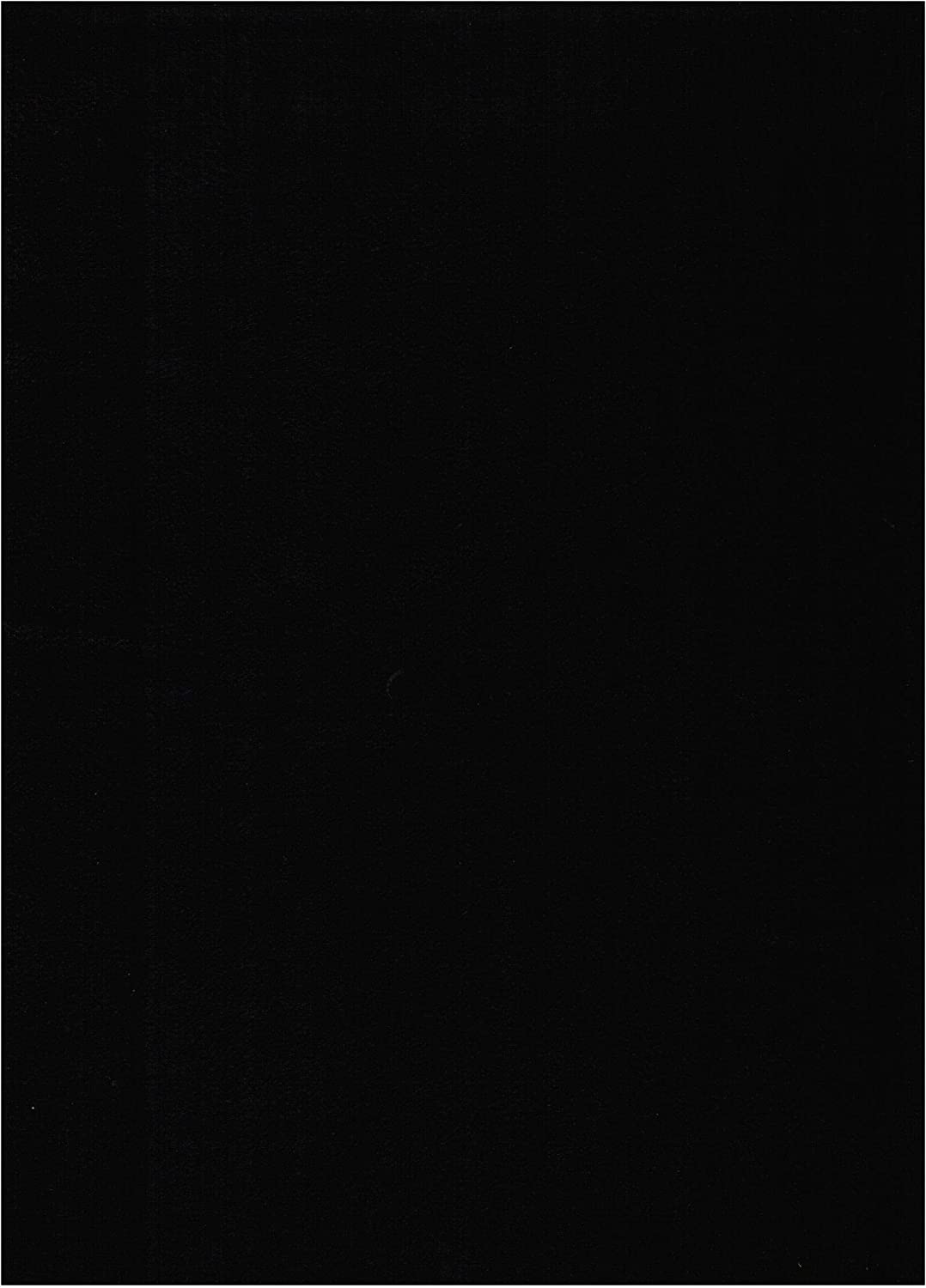 Black Suede Fabric Futon Mattress N598131