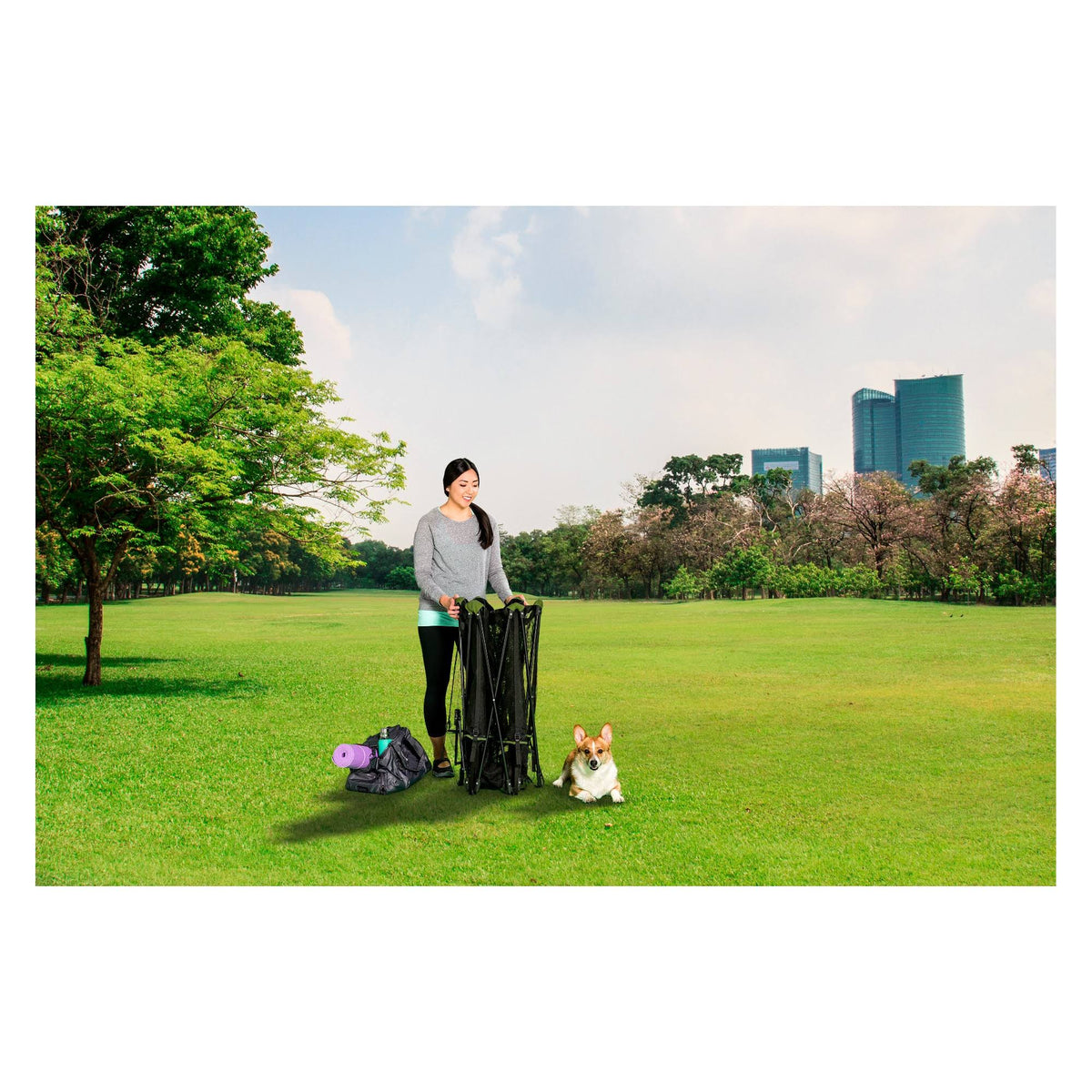 8 Panel Portable Pen with Pet Door and Carry Case D6798