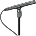 Hypercardioid Condenser Microphone R339