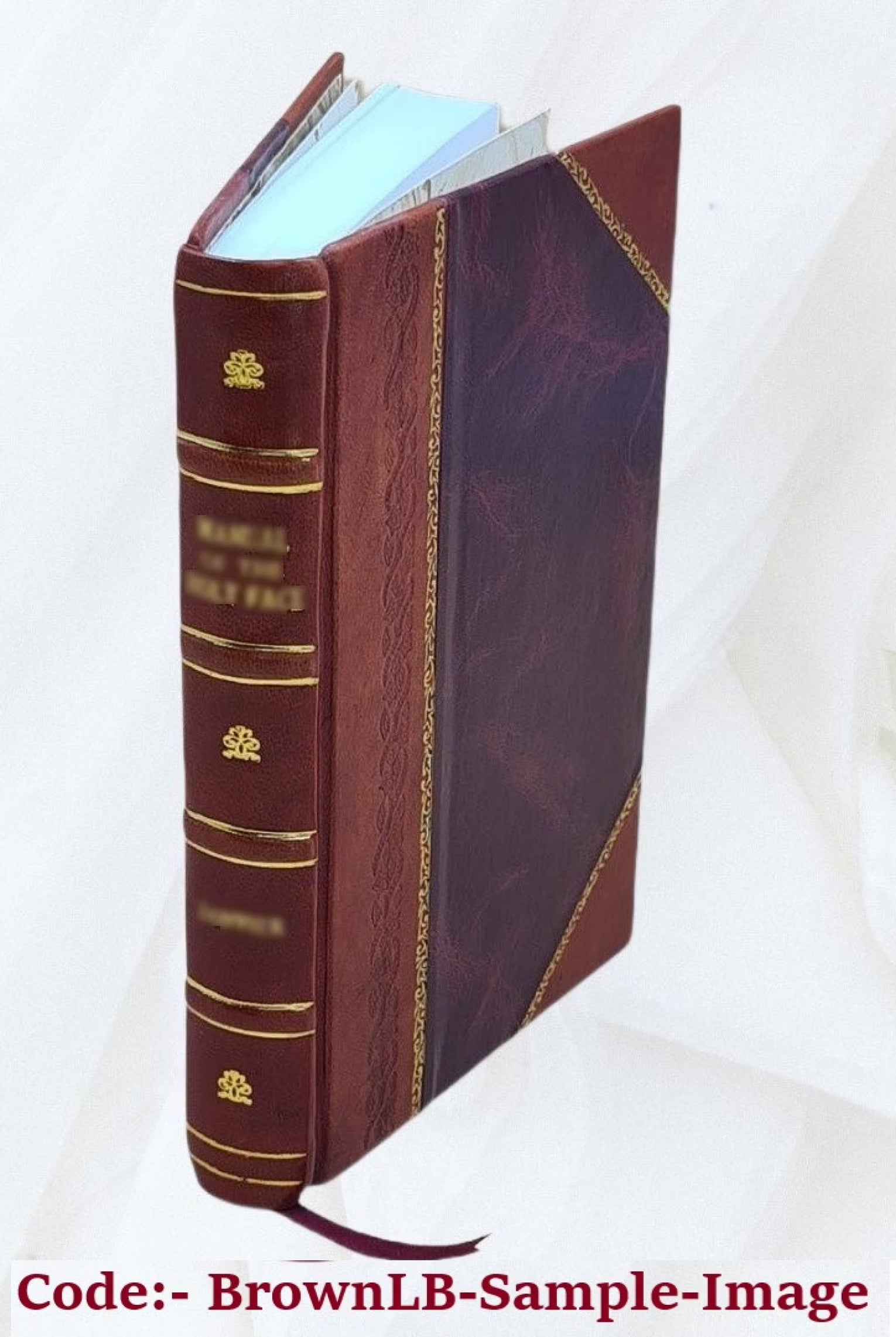 Leather Bound Book T987801