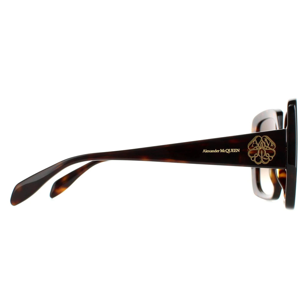 Tortoise Brown Gradient Sunglasses L165139