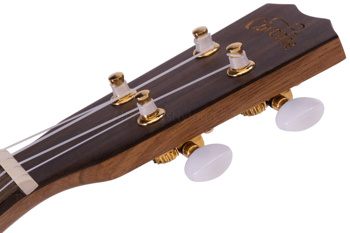 Concert Ukulele V823193