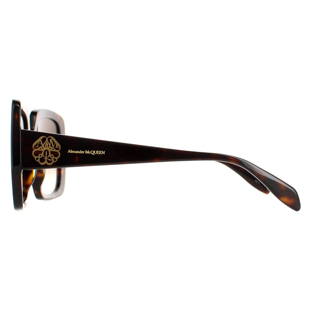 Tortoise Brown Gradient Sunglasses L165139