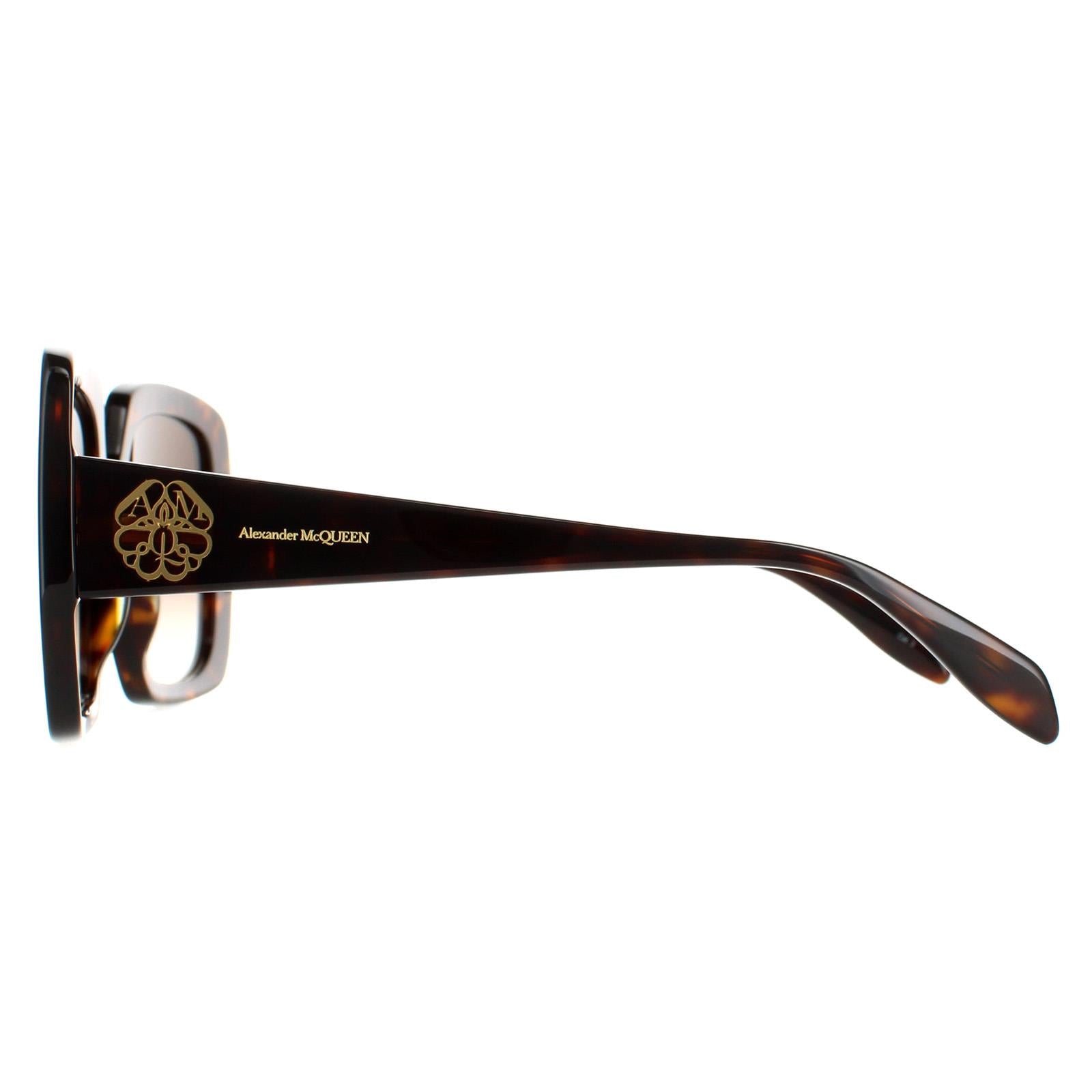 Tortoise Brown Gradient Sunglasses L165139