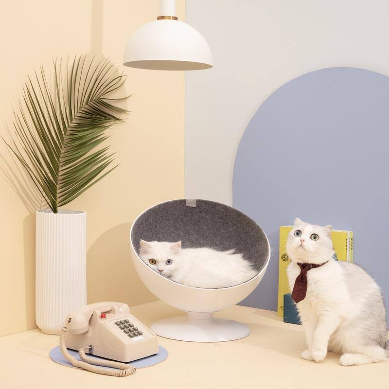Elevated Cat Bed V2680