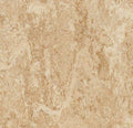 Marmoleum Composition Tile Z46759